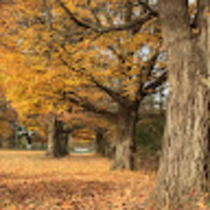 Meet your Posher, Cheryl amanda